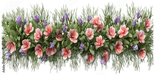 Vector ornamental flowers top view, full blossoms, transparent background, floral row, blooming flowers, nature-inspired art, colorful petals, flower design, floral pattern