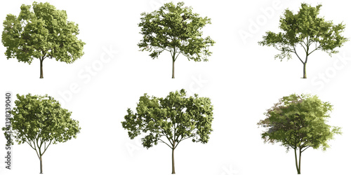 Vector jungle trees shapes, cutout environmental tree growth set, forest elements, tropical plants, green foliage, tree design elements, nature clipart, isolated tree silhouette, landscape