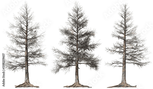 Vector wood shapes, dead pine trees, dry timber silhouettes, natural tree outlines, forest decay, rustic branches, pine elements, woodland graphics, bare tree trunks