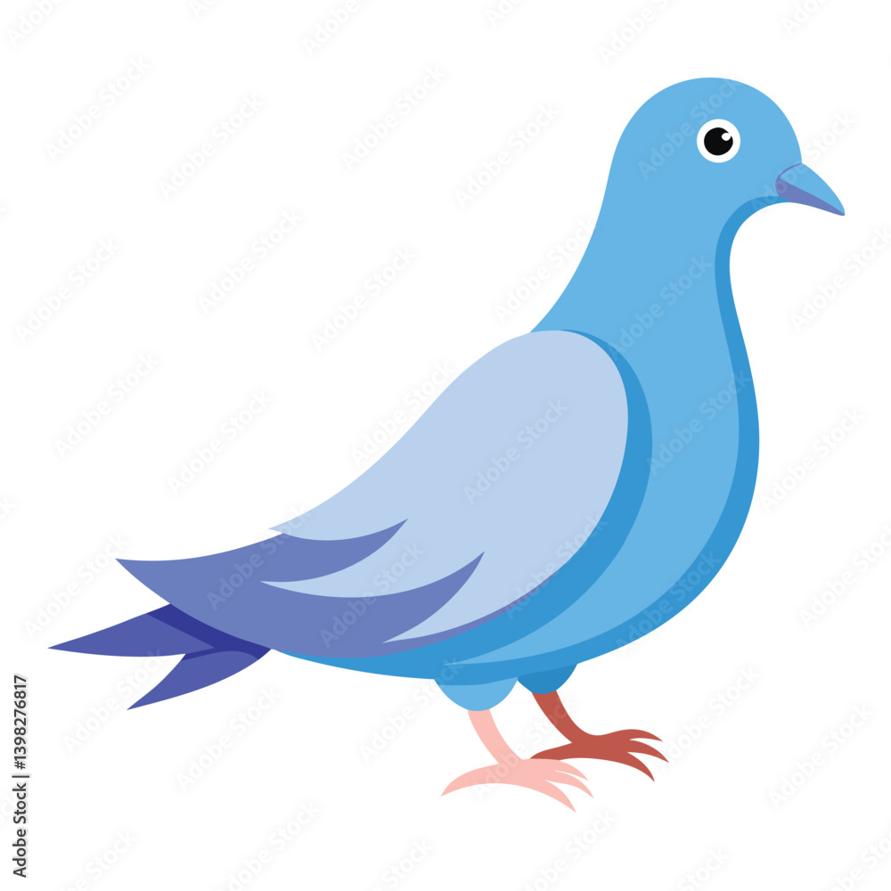 Dove isolated on white background Dove isolated on white background