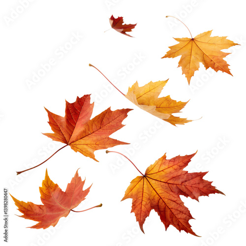 A collection of red, orange, and yellow maple leaves gently drifting through the air