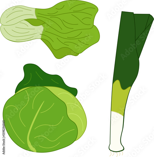 Cabbage, shallots, bok choy, Vector vegetables isolated set. Flat icons. Collection farm product for restaurant menu, market label. For logo, web, package, sticker. Eat green