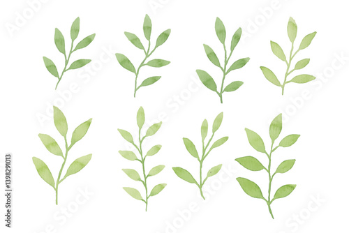 Assortment of watercolor leaves illustration set - green leaf branches collection for wedding, greetings, stationary, wallpapers, fashion, background. olive, green leaves, Eucalyptus etc