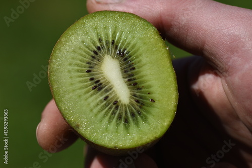 kiwi cut in half macro 