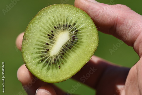 kiwi cut in half macro 