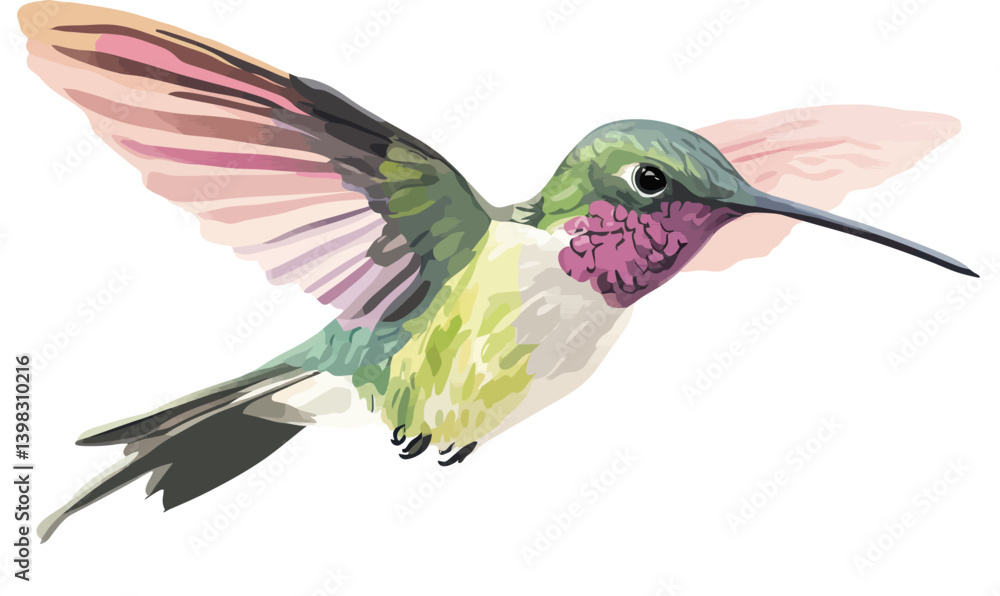 Obraz premium Minimalist Watercolor Hummingbird Vector Illustration for Graphic Resources and Design