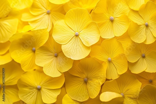 Obraz na płótnie A close-up view of vibrant yellow flowers, radiating joy and positivity, perfect for spring-themed projects. w salonie