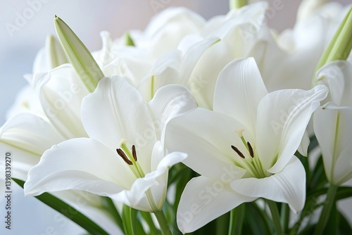 A stunning bouquet of bright white lilies in full bloom.