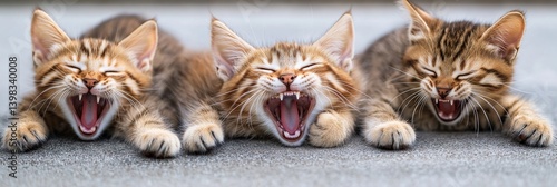 Obraz na płótnie Three playful kittens express joy and innocence through laughter and playfulness. w salonie