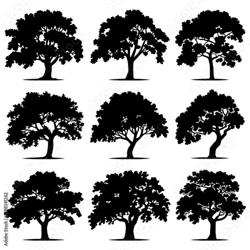 Oak Tree Silhouette Vector Bundle Black and White Oak Tree Clipart EPS Illustration