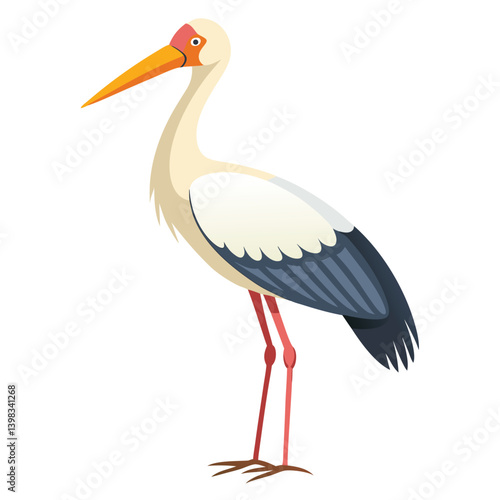 Stork isolated on white background 