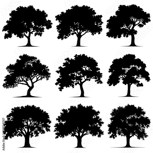 Oak Tree Silhouette Vector Bundle Black and White Oak Tree Clipart EPS Illustration