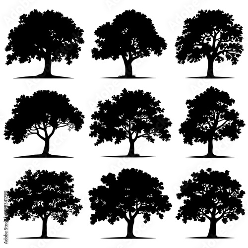 Oak Tree Silhouette Vector Bundle Black and White Oak Tree Clipart EPS Illustration