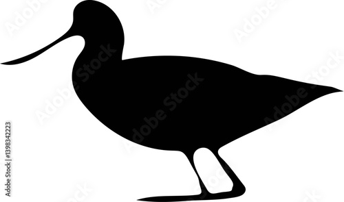 Cartoon vector of a cute water bird with wings and beak in nature