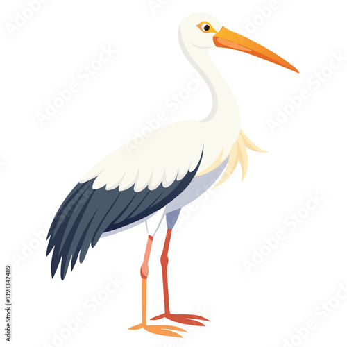 Stork isolated on white background 