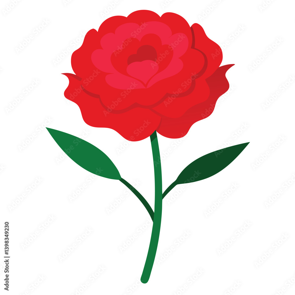 Carnation flower vector isolated on white background