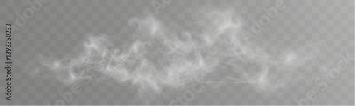	
Realistic white smoke on transparent background with soft swirling effect, misty fog, airy vapor, atmospheric haze, drifting smog, subtle steam, floating cloud, delicate fumes.
