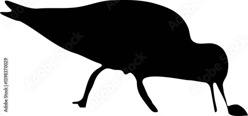 Canvas Print Silhouette of a bird and a black cat with a dolphin, whale, and fish in a playfu