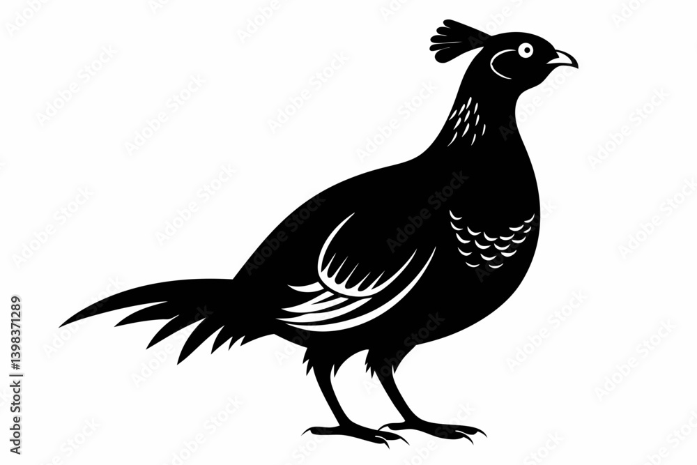 Fototapeta premium Prairie chicken silhouette black vector