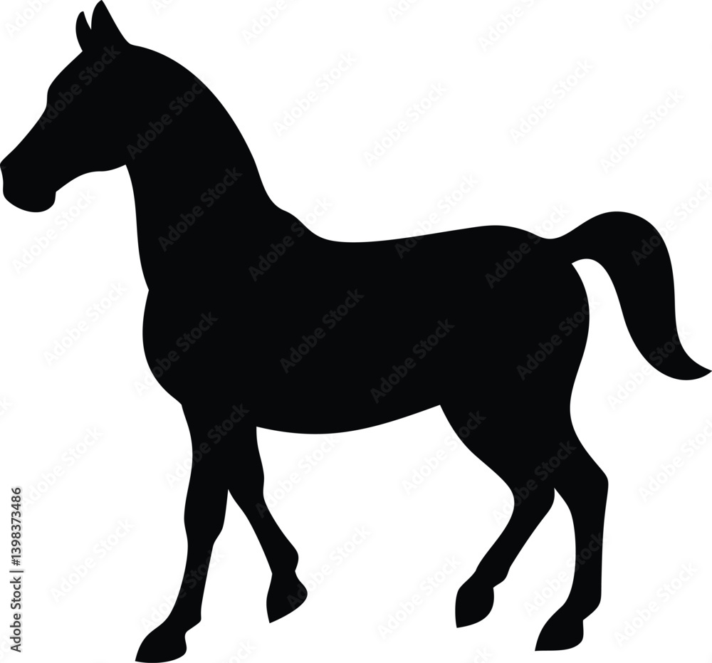 Obraz premium horse with white background