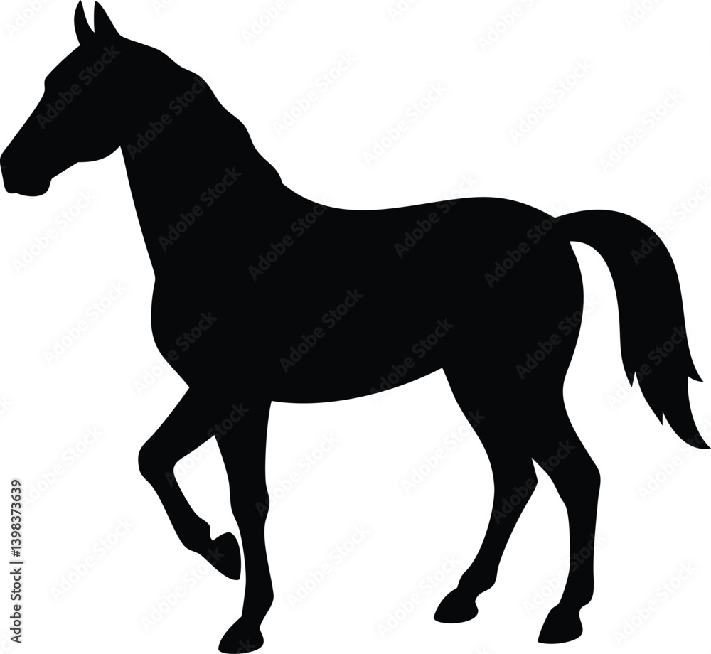 Obraz premium horse with white background