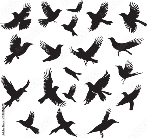 Cute birds flying set silhouette black and white 