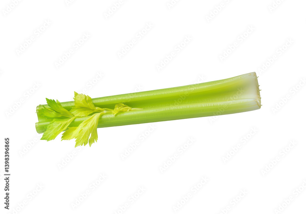 Fototapeta premium A green celery stick floating horizontally in mid-air against a solid white background