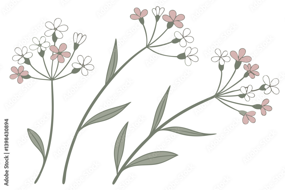 Delicate Pink Floral Vector Art for Botanical Design and Decor Projects Delicate Pink Floral Vector Art for Botanical Design and Decor Projects