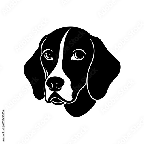 beagle dog isolated on white