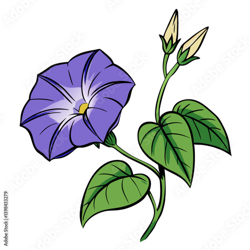 Purple Morning Glory Flower Vector Illustration for Botanical Art and Design