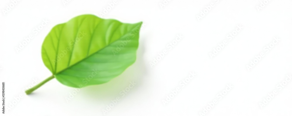 Fototapeta premium Single isolated green leaf on white background, solitary, organic, plant