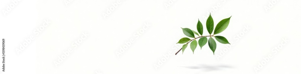 Single isolated tree branch against white backdrop, simple, single element, modern Single isolated tree branch against white backdrop, simple, single element, modern
