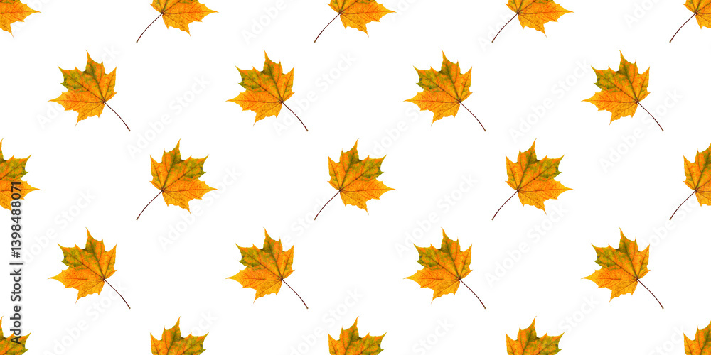 Seamless pattern of colorful isolate maple leaves creating an autumnal backdrop Seamless pattern of colorful isolate maple leaves creating an autumnal backdrop
