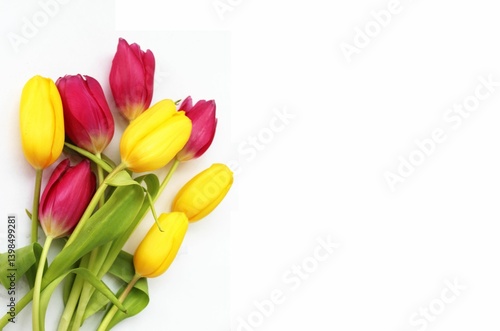 Wallpaper Mural A spring bouquet of tulips. Red, yellow and pink tulips on a white background. Background for congratulations. Torontodigital.ca