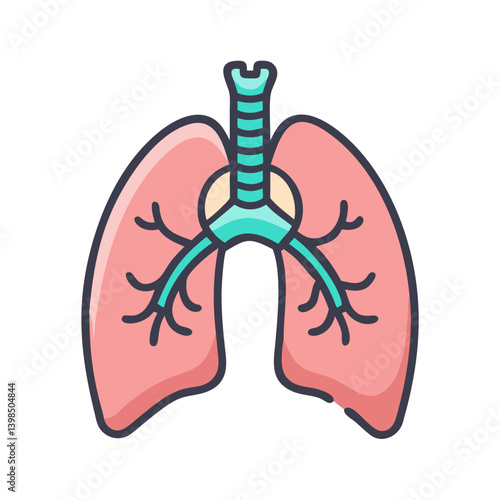  Atria Anatomy Vector Icon