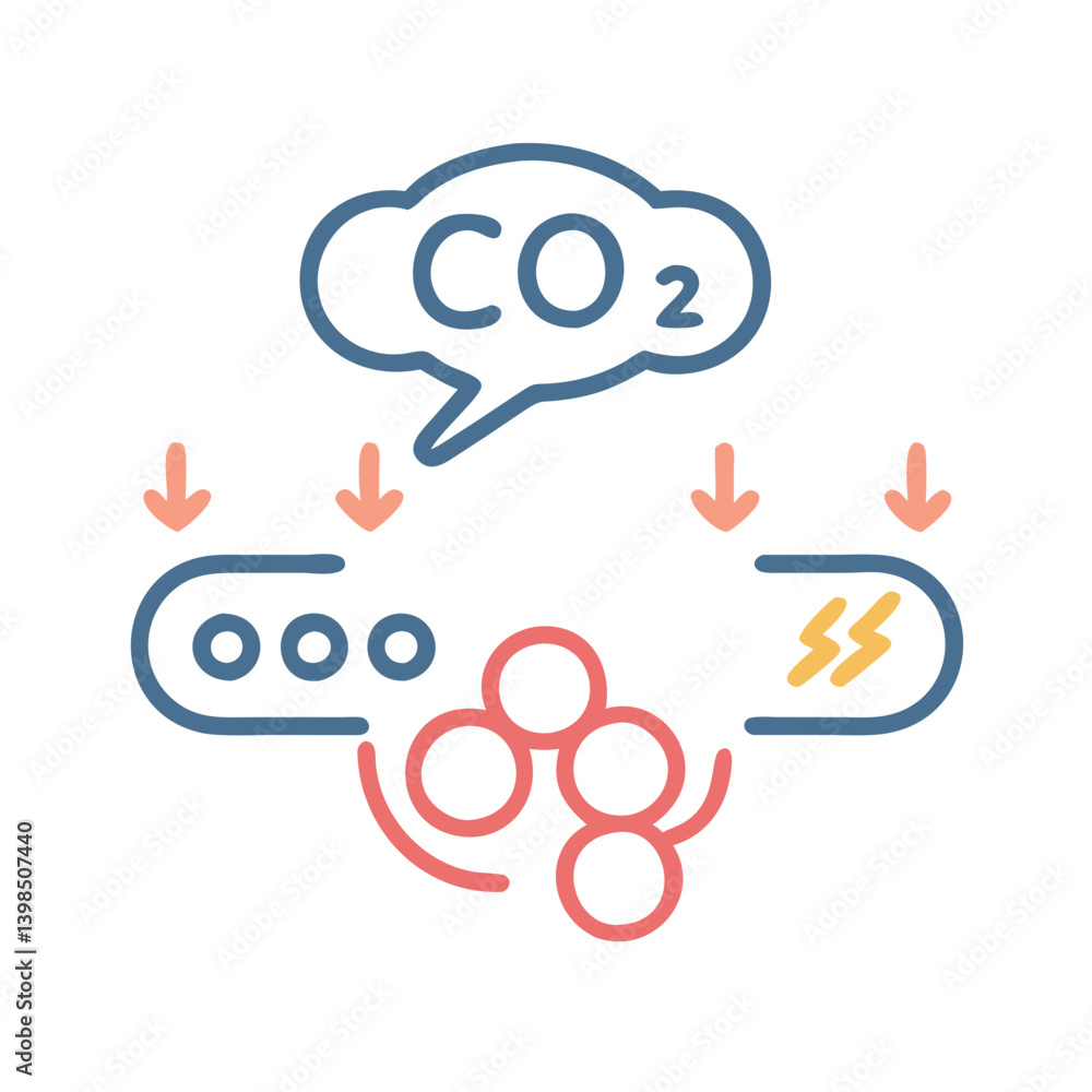 Detailed Carbon Dioxide Transport Anatomy Detailed Carbon Dioxide Transport Anatomy