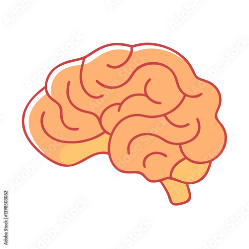  Detailed Cerebellum Anatomy