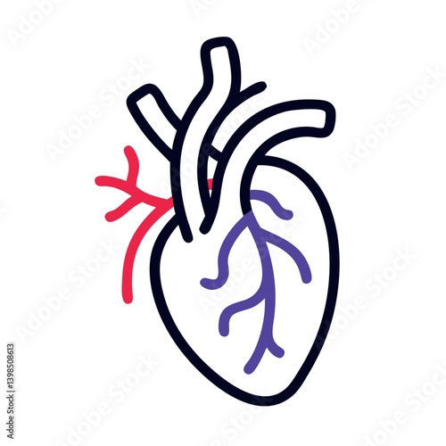  Coronary Arteries Anatomy Vector