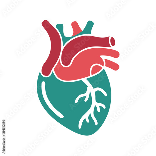  Detailed Endocardium Anatomy