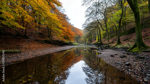 Autumn Forest River Landscape Reflection