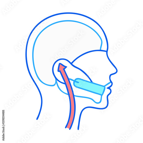  Laryngeal Mask Airway Device