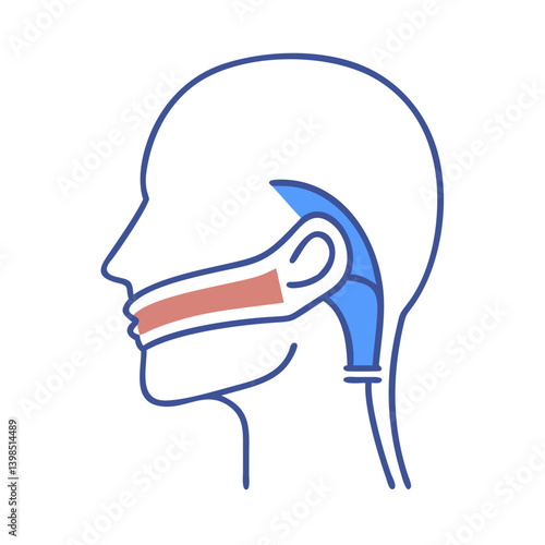  Advanced Laryngeal Mask Airway