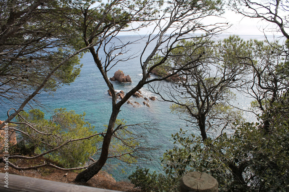 Landscape with the Mediterranean Sea, typical pine trees of the Costa Brava, the turquoise-blue sea water, and rocks and the sky in the background. Coast with beautiful rocks. Landscape with the Mediterranean Sea, typical pine trees of the Costa Brava, the turquoise-blue sea water, and rocks and the sky in the background. Coast with beautiful rocks.