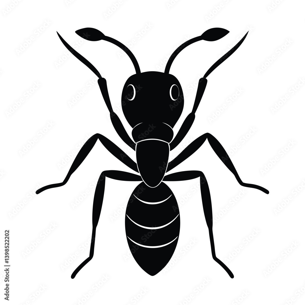 Fototapeta premium Ant Head with Mandibles in Side View