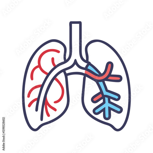  Pulmonary Circulation Anatomy Vector