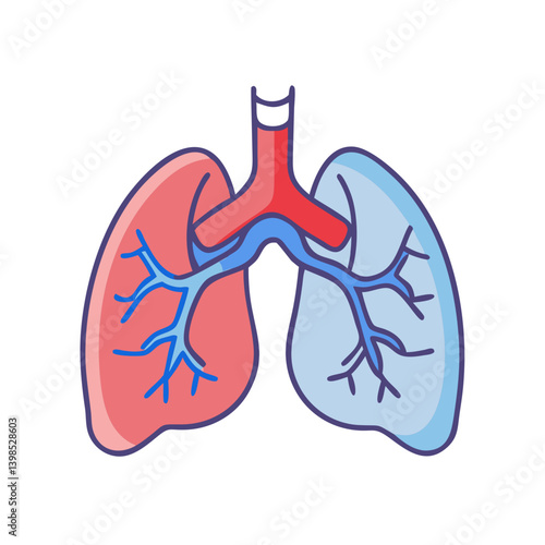  Pulmonary Circulation Medical Anatomy Icon