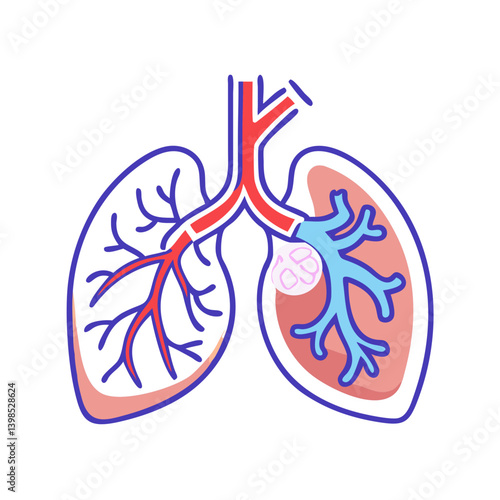  Pulmonary Circulation Anatomy Icon Design