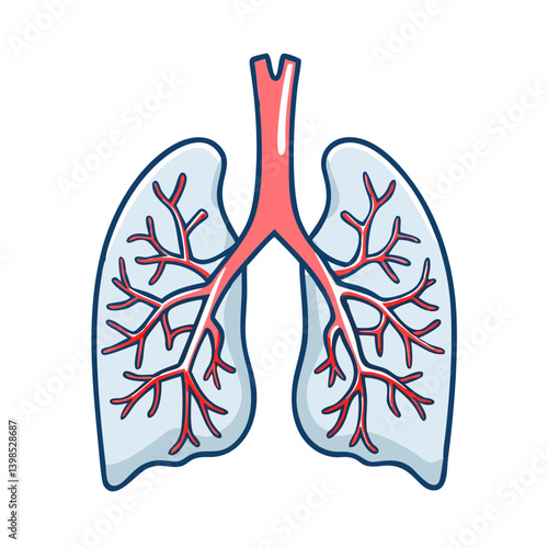  Pulmonary Veins Medical Anatomy Icon
