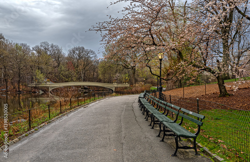Bow bridge, morning in early spring