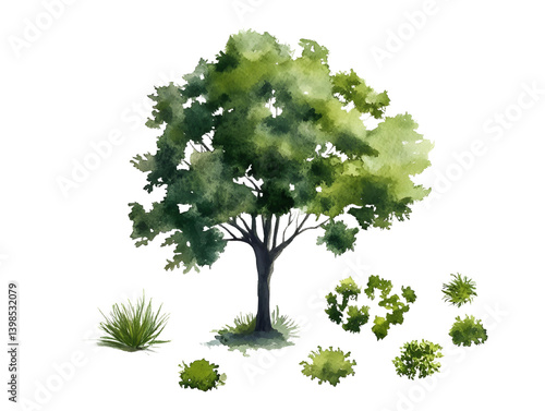 Obraz na płótnie tree top watercolor hand drawn view isolated on white background for landscape plan and architecture layout drawing, elements for environment and garden w salonie